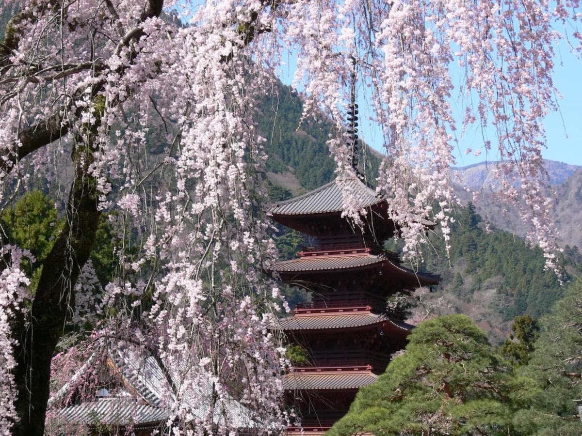 宿坊 端場坊｜Temple Hotel Habanobo Minobu Eksteriør bilde